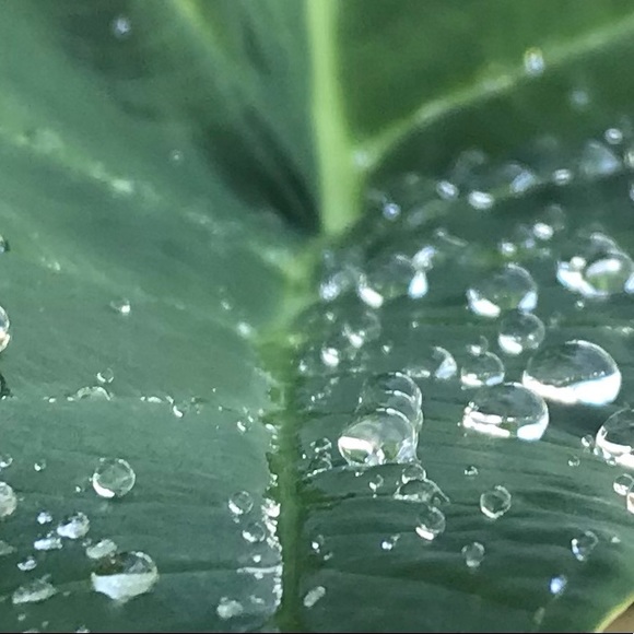 Meet your Posher, Dee! - Picture 8 of 15